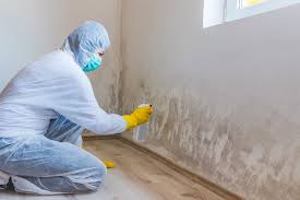 Professional Mold Inspection in Varnell, GA