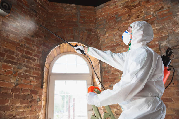 Environmental Consulting for Mold Prevention in Varnell, GA